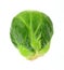 Single Brussels Sprout