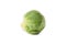 Single brussels sprout isolated on background