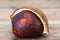 Single Buckeye Chestnut in Shell. Fresh conkers on wood background