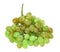 Single bunch of green grape