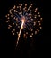 Single Burst of Fireworks on a Black Background