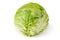 Single cabbage