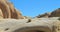 Single Cactus Growing in a Boulder in the Desert