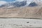 Single camel in vast mountain landscape