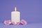 Single Candlelight and Pink Rose Pedals