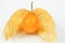 Single cape gooseberry (physalis peruviana) on white background