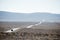 A single car travels on the road through Death Valley