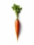 single carrot on white background