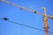 Single cBuilding construction site with crane and the crow on a wire . The