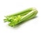 Single celery