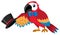 Single character of circus parrot on white background