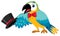 Single character of circus parrot on white background