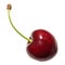 Single cherry