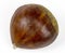 Single chestnut