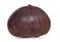 Single chestnut