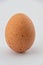 A single chicken egg