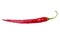 Single chili pepper isolated on white background. Chili hot pepper whole