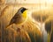 Single Colorful Male Common Yellowthroat Perched Marsh Bulrush Springtime Morning Sunrise Small Bird AI Generated