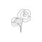 Single continuous line drawing beauty fresh herbaceous plant for garden logo. Printable decorative poppy flower concept for home
