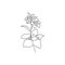 Single continuous line drawing of beauty fresh orchid for wall home decor art. Printable decorative poster orchidaceae flower