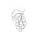 Single continuous line drawing healthy organic grapes for vineyard logo identity. Fresh tropical fruitage concept for fruit