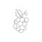 Single continuous line drawing healthy organic grapes for vineyard logo identity. Fresh tropical fruitage concept for fruit