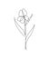 Single continuous line drawing minimalist beauty jasmine flower. Floral concept for posters, wall art, tote bag, mobile case, t-