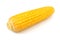 Single corn