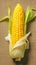 Single corn cob on brown sackcloth background, viewed from side