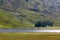 Single cottage in valley at lake and small forest in Scotland