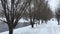 Single couples stroll through the winter park
