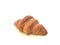 Single croissant in white background