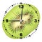 Single cross section of kiwi as a office clock