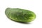Single cucumber