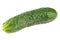 Single cucumber