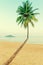 Single curved palm and a sandy beach.