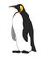 single cute emperor penguin with yellow beak & spots, seabird for logo, pattern or emblem