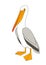 Single cute pelican with yellow beak & paws, seabird for logo, pattern or emblem