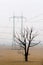 Single dead tree standing in empty field with electric columns in background. Dead soil. Bad effects of agriculture