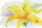 A single, delicate lily, with petals unfurling to reveal a bright yellow center, ai illustration