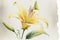 A single, delicate lily, with petals unfurling to reveal a bright yellow center, ai illustration