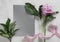 single delicate pink peony, pink ribbon and silver blank paper