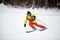 Single descent of young male skier downhill skiing and doing carve turn on high wooded slope. Skiing during snowfall