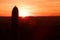 Single detail of cactus tree silhouette and lens flare during beautiful reddish sunset sunrise background