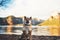 Single dog close up walk sits on background  mount landscape,  tourist red shiba inu leisure on lake, pet travel on nature, vacati