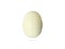 Single duck egg on white background with clipping path. front view