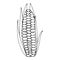 Single ear of corn. Sketch vector illustration