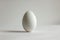 Single Egg Standing on a Plain Background