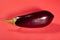 Single eggplant on red