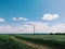 A single electric pole against a background of blue sky and clouds in a field of cereals and a dirt road to it